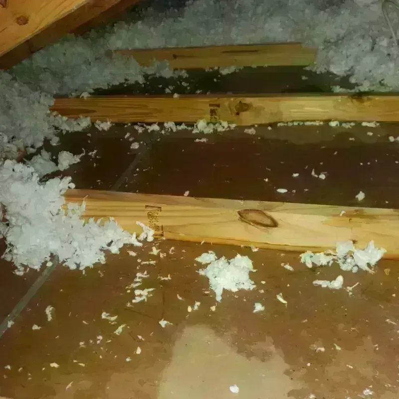 Attic Water Damage in Lake Oswego, OR