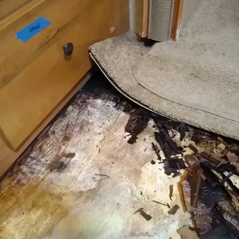 Wood Floor Water Damage in Lake Oswego, OR